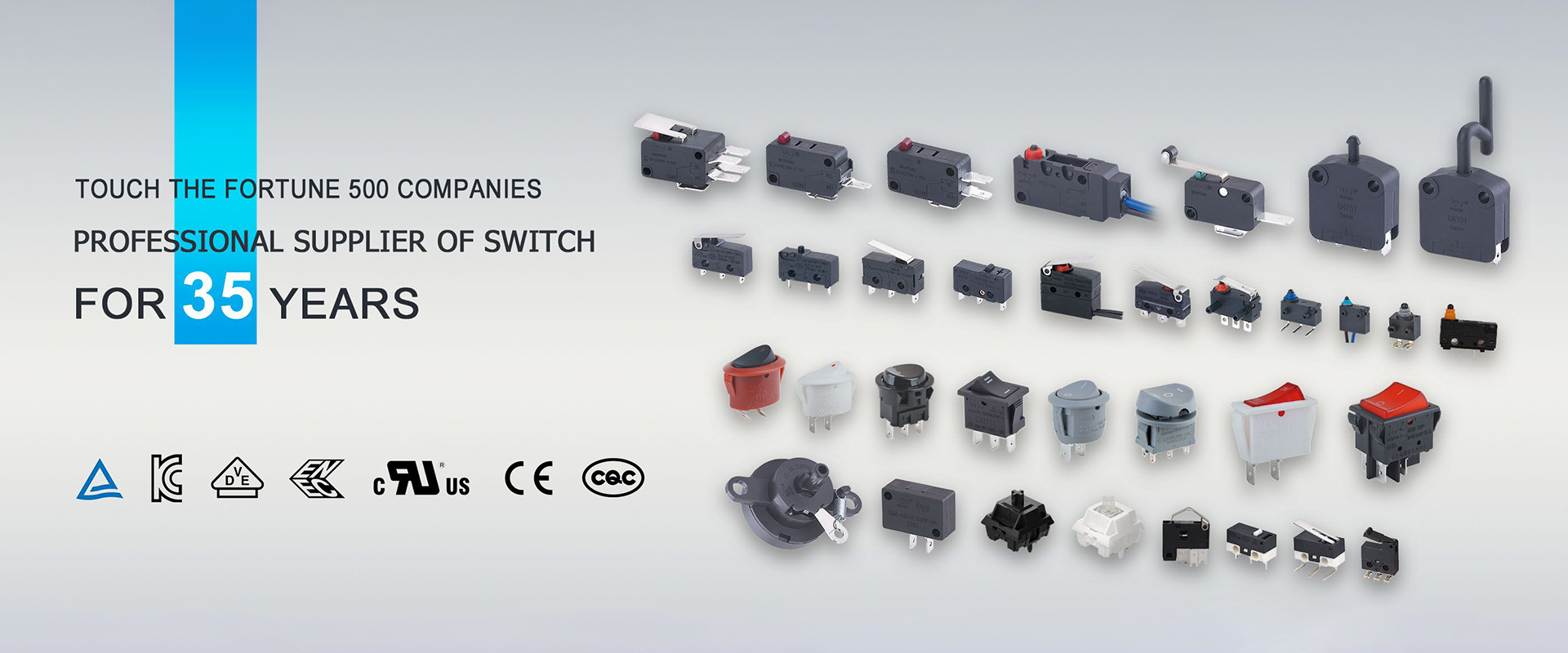 நிறுவனத்தின் வரலாறு